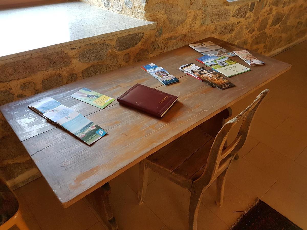 Ferienwohnungen Am Buechlhof Im Oberpfaelzer Seenland نينبورغ فورم والد المظهر الخارجي الصورة