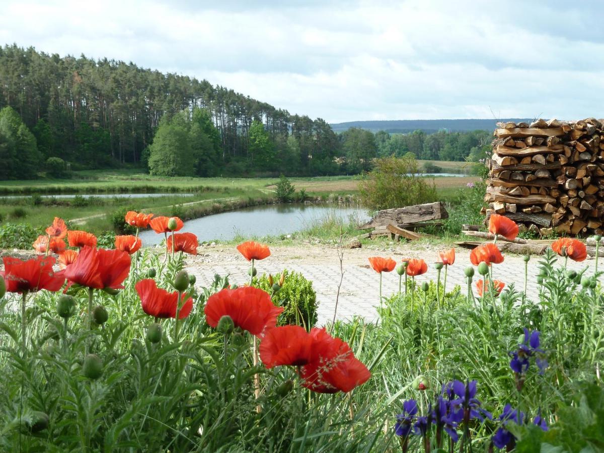 Ferienwohnungen Am Buechlhof Im Oberpfaelzer Seenland نينبورغ فورم والد المظهر الخارجي الصورة