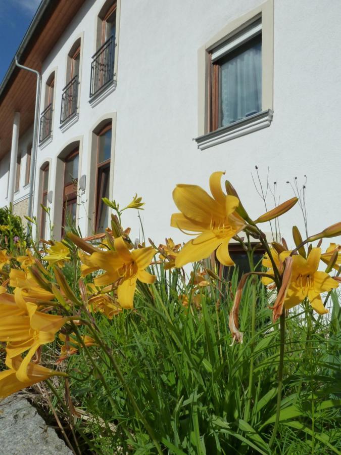 Ferienwohnungen Am Buechlhof Im Oberpfaelzer Seenland نينبورغ فورم والد المظهر الخارجي الصورة